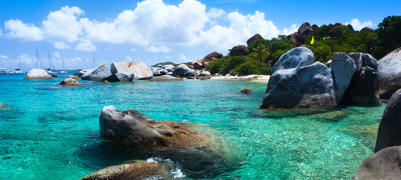 BVI Trust Company Coverdale Trust Services